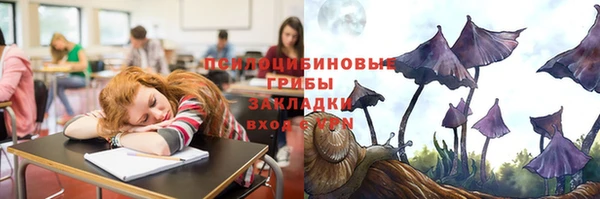 первитин Алексеевка