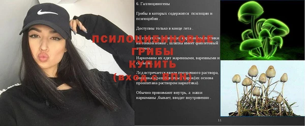 mix Абаза