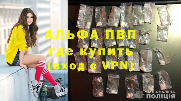 эйфоретик Алексин