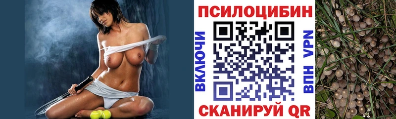 Галлюциногенные грибы ЛСД  OMG онион  Торопец  как найти закладки 
