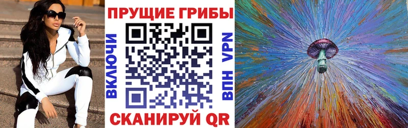 Галлюциногенные грибы Psilocybine cubensis Торопец